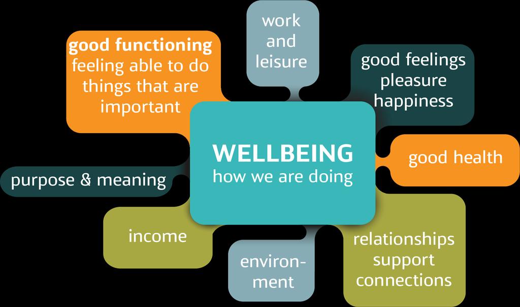What is wellbeing? What is wellbeing?