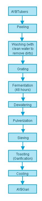 654 Figure 1: Flow chart for American Yam BeanGari processing stages.