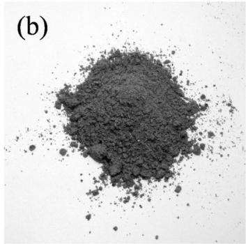 Physical appearance of Atraclytodes lancea: dried rhizomes (a) and powder (b) 2.