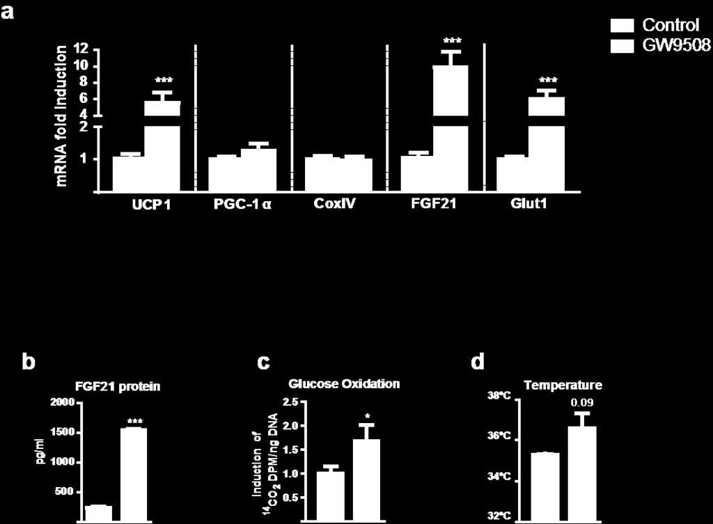 Supplementary Figure 6. GPR120 activation induces thermogenesis-related genes expression, glucose oxidation and FGF21 protein release in brown adipocytes.