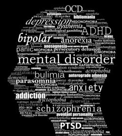 What is Mental Health? Mental health is a level of psychological wellbeing or an absence of mental illness.