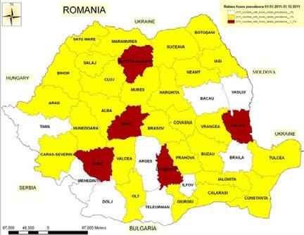 Rabies situation in Romania The prevalence of rabies, especially in silvatic reservoir, is a high risk for the most important zoonosis in Romania.