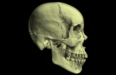 PERIODONTAL PROBING Periodontology Perio Morphology PDF Periodontal anatomy slide