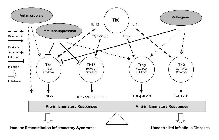Proposed pathogenesis of Immune Reconstitution Inflammatory Syndrome (IRIS) Sun HY, Singh N.