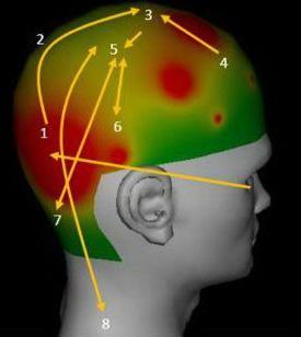 - Impulses are then directed to the parietal somatosensory association area that receives information from the three sensory systems: visual, auditory, somatosensory (receiving sensations from muscle