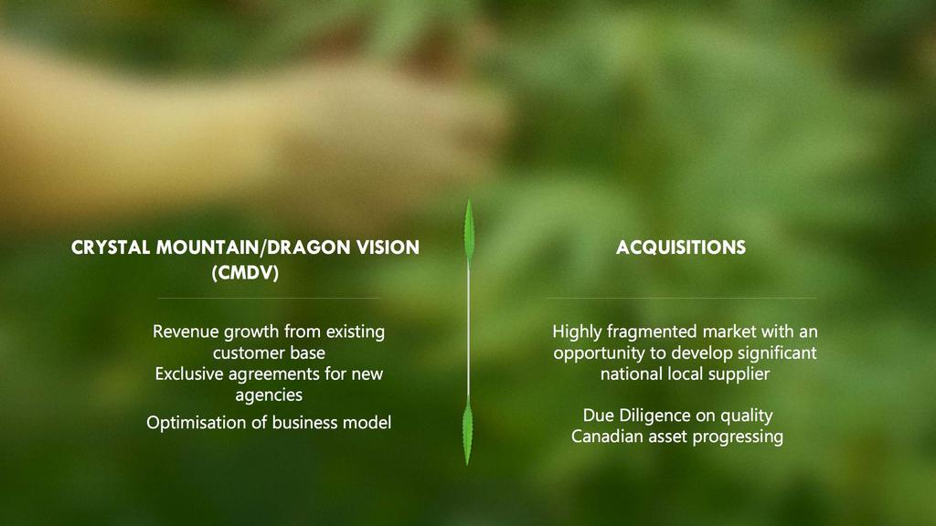 CANADIAN MARKET OPPORTUNITIES Expansion of the Canadian market leading to multiple opportunities for revenue growth CRYSTAL MOUNTAIN/DRAGON VISION (CMDV) ACQUISITIONS Revenue growth from existing