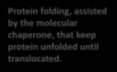 proteins and covalent modifications occur