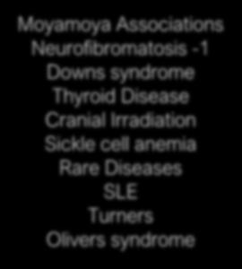 A. Downs Syndrome When Moyamoya-like vasculopathy develops in association with systemic diseases and conditions, it is termed Moyamoya syndrome.