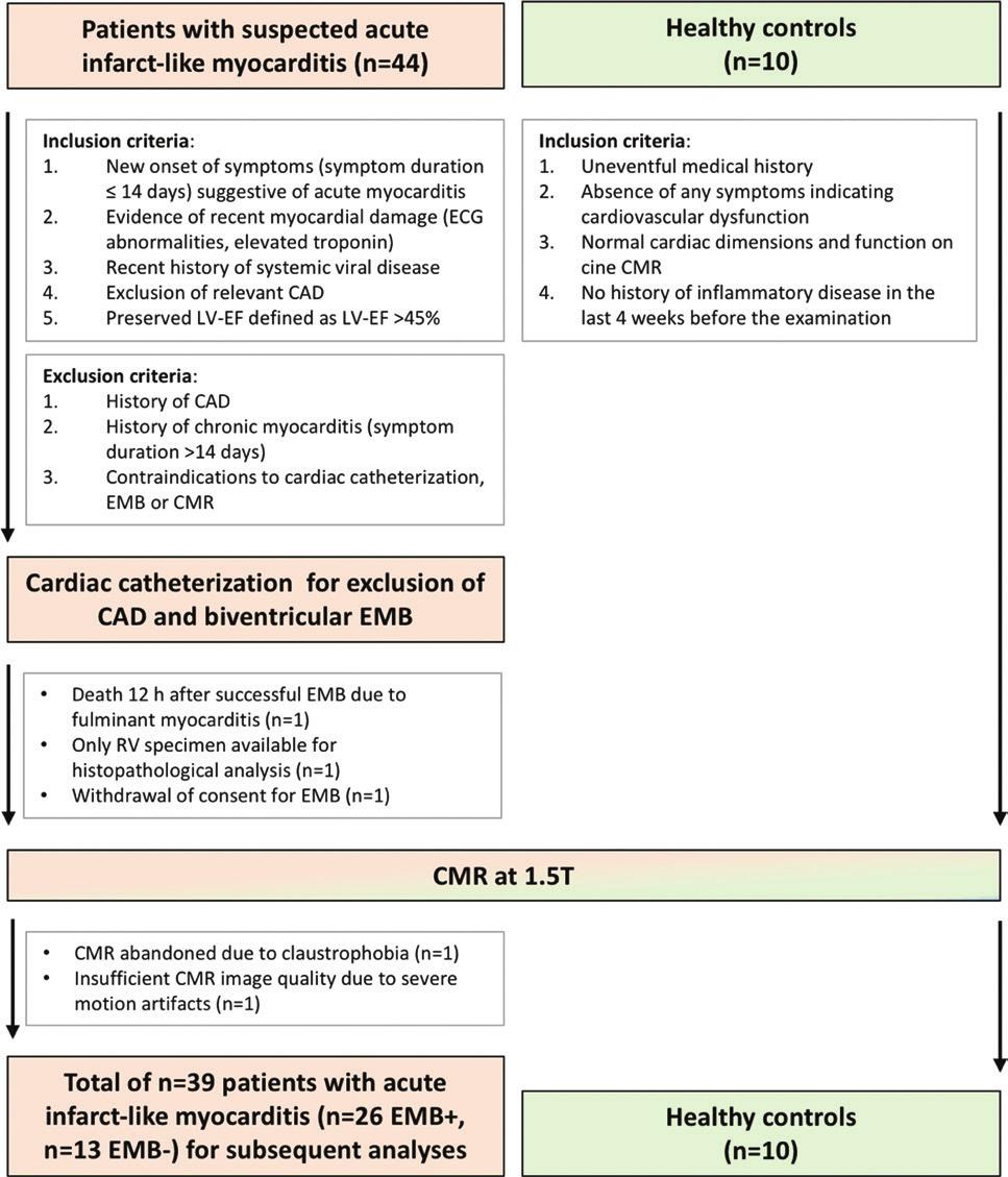 Figure 1: Flowchart shows study design, including inclusion and exclusion criteria and reasons for participant dropout for comparison of endomyocardial biopsy (EMB) results with 1.5-T cardiac MRI.