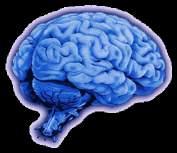 BRAIN CHANGE Research indicates that individuals with anti social personality disorder lack full development of the pre-frontal cortex.