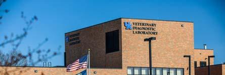 University of Kentucky Veterinary Diagnostic Laboratory Nutrition Good