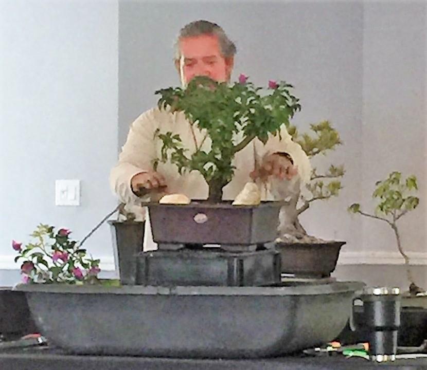 Plantation Garden Club News Thanks so much to Geoff Marmon for coming to the April meeting and giving us such an informative and creative demonstration on bonsai
