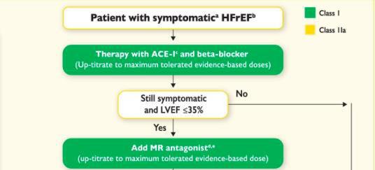 HFrEF Triple Therapy Standard ESC HF