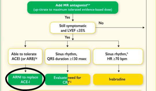 Further RAAS adjustments if ongoing issues ESC HF