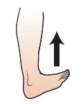 Rotate your ankle counter-clockwise (to the left) 10 times. 4. Repeat with your left ankle.