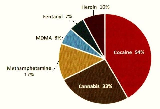 Organized Crime - Illicit Drug Market Source -