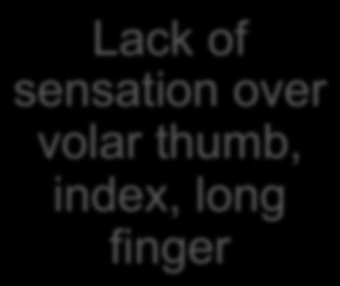 index, long finger Surgical