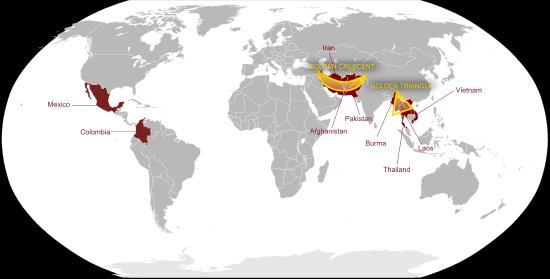 Global Picture Where Do Opioids Come From?