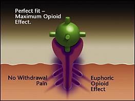 How Opioids Are Used Ingested-pills that are swallowed