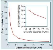 Serum creatinine Insensitive marker of early change Close estimate of