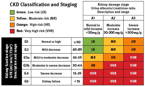 Chronic Kidney Disease (CKD) Abnormalities of kidney structure or function for >3 months.