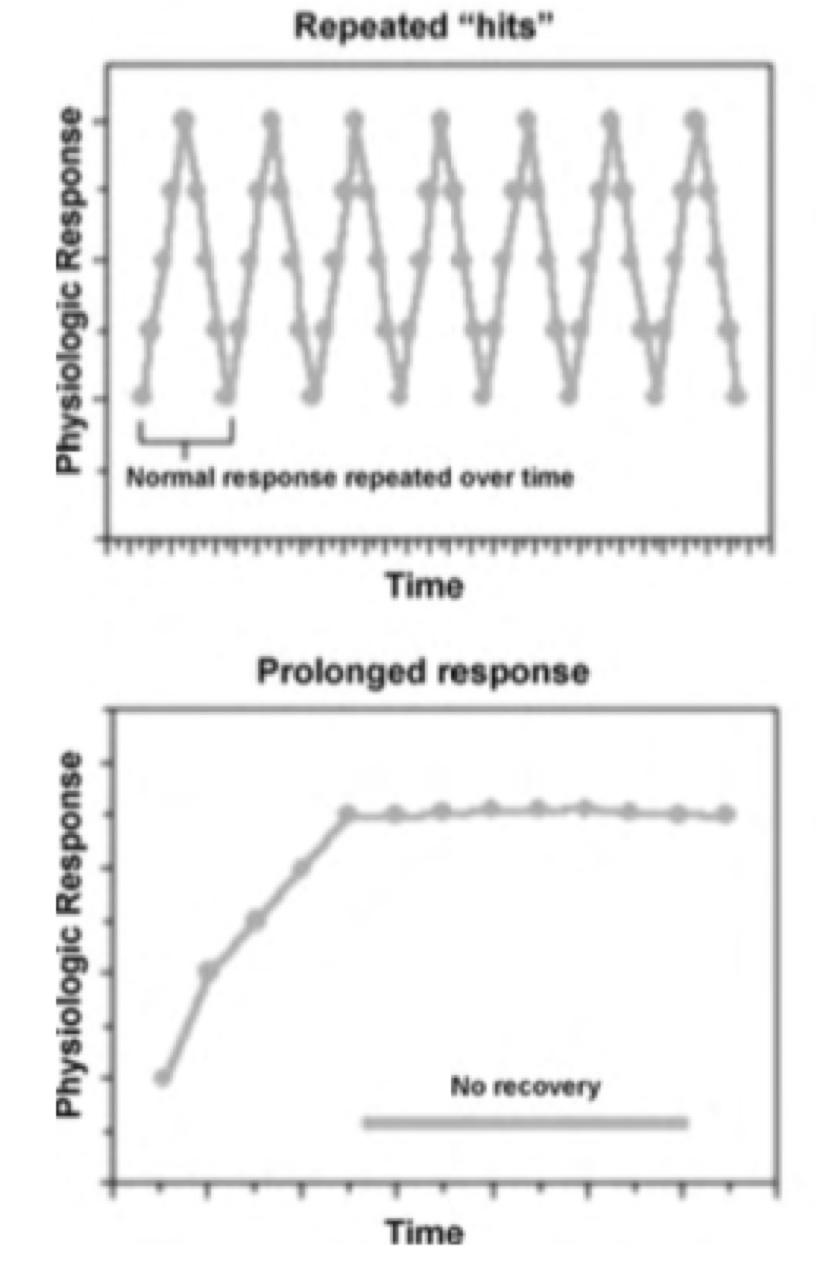 Chronic Stress Response Activation Repeat exposures to stress Body s response