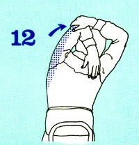 Hold left elbow with right hand, then gently pull elbow behind head until an easy tension-stretch is felt in shoulder or back of upper arm (triceps).