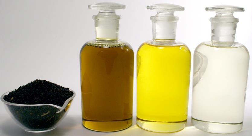 Canola Oil, rich in omega fatty acids, tocopherol and phytosterols High