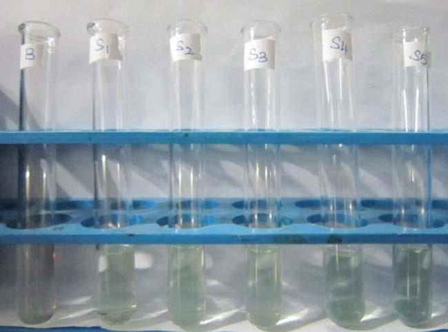 Table 4: Achyranthes aspera ethanolic extract antioxidant assay by PMA Description B S1 S2 S3 S4 S5 A1 A2 A3 A4 A5 Standard /Sample (ml) 0 0.1 0.15 0.2 0.25 0.