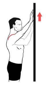 Arm at your side, elbow bent to 90 degrees, stand next to the wall. Apply an outward pressure into the wall through your elbow.