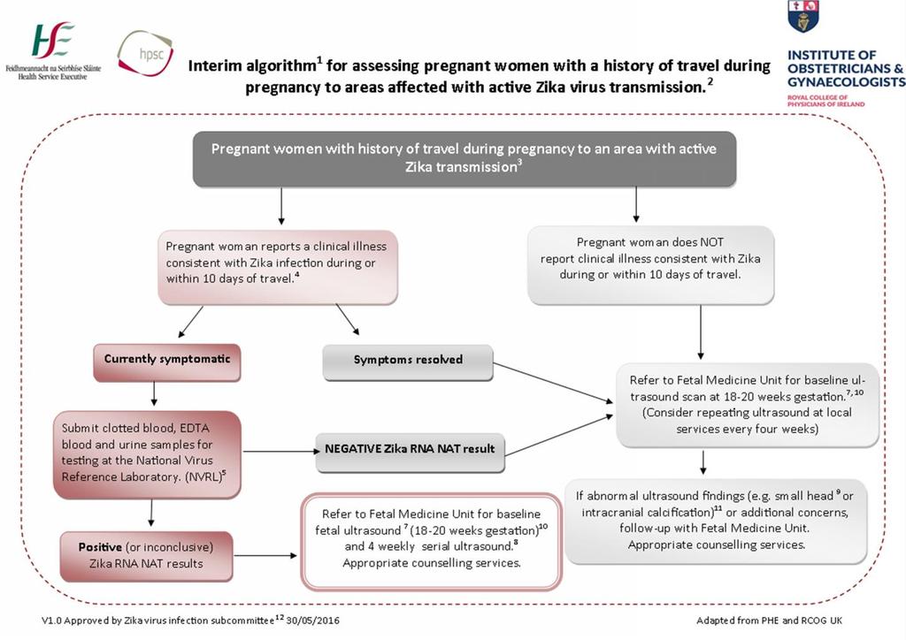 Appendix 1: Algorithm for assessment of a pregnant woman with a history