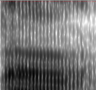 1 Spectrograms of /b/ in ba and /p/ /t