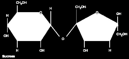 Disaccharides As the name suggests, disaccharides are made up of two monosaccharide units joined together. By CNX OpenStax [CC BY 4.0 (http://creativecommons.