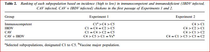 Gumboro and CAV infection influence the selection of IBV vaccine subpopulations Gallardo et al.