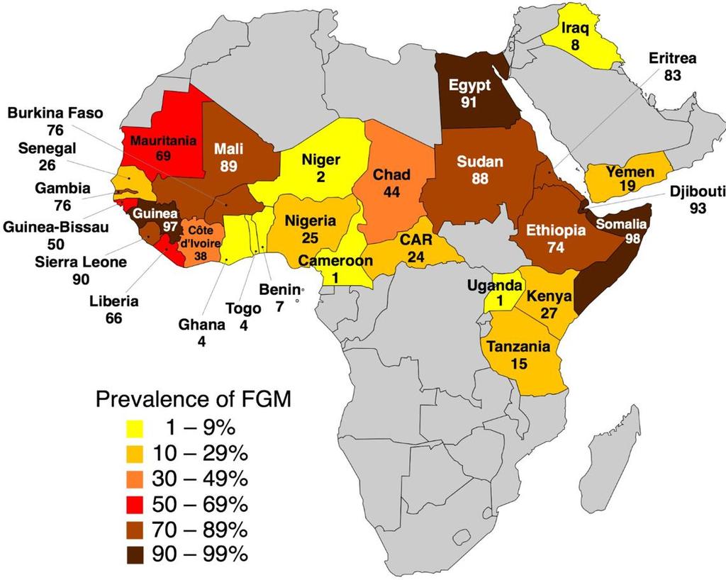 Somalia # 3: UNICEF's Study on FGM Prevalence in 2013 According to UNICEF s Somalia FGM Advocacy Paper 4 and to the above map, FGM prevalence in Somalia is about 95-98%.