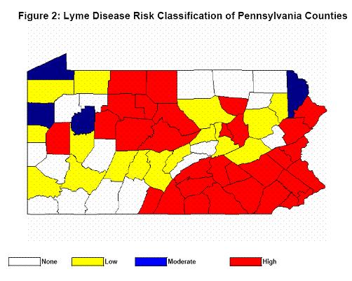 If a physician doesn t think there is Lyme disease in the