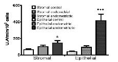 endometriotic Stromal Cs, control
