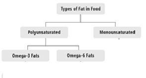 Introduction Fats are important part of the diet as they are a rich source of energy. They provide 9 calories for every gram of fat that is eaten.