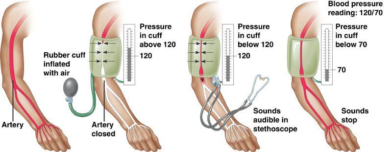 diastolic pump (peak pressure) fill (minimum pressure) 110 70 Measurement of blood pressure Bloody well ask some