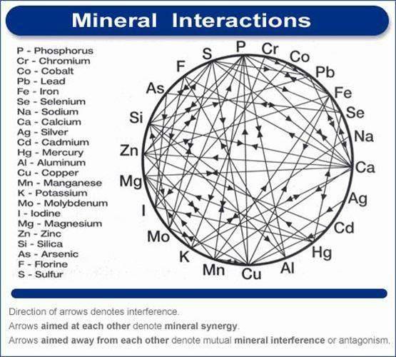 Toxic Metals It may also be interesting for you to understand that whichever minerals you are out of balance in, to look at this chart that shows the mineral interactions.
