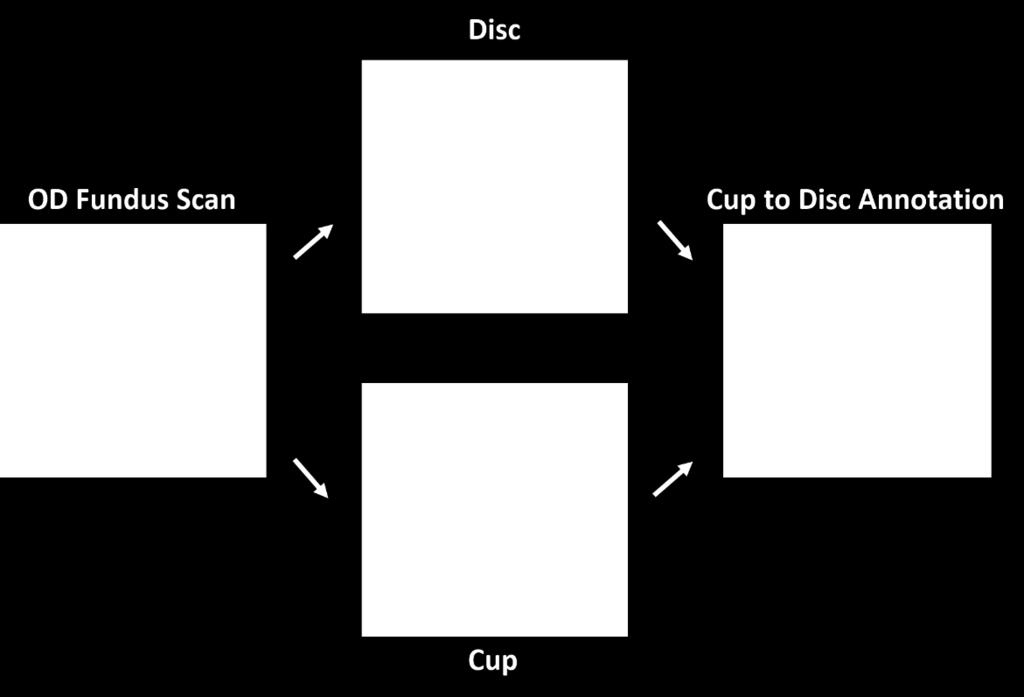 Figure 7: Cup to Disc