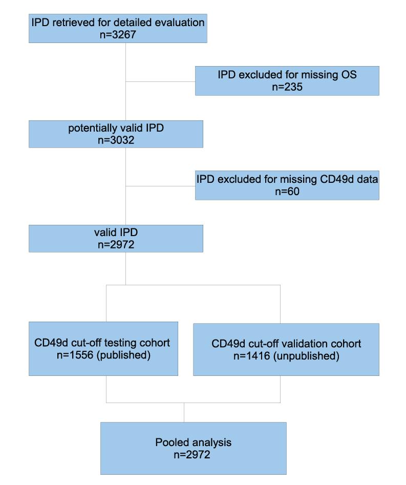 Worldwide multi-center meta-analysis on CD49d prognosis Patient cohorts