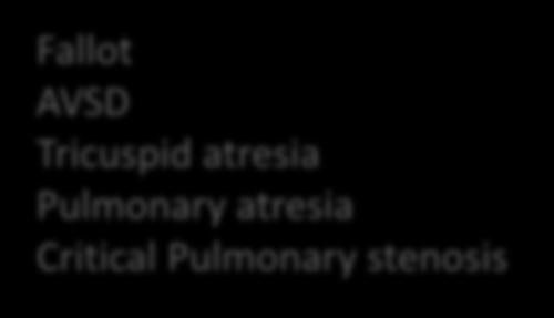 Pulmonary atresia Critical Pulmonary stenosis