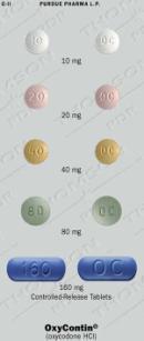Page 12 Opioid Analgesic Selection Oxycodone HCl Short-acting vs. longacting Role of methadone?