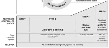 with several hospitalizations History of bronchiolitis Risk factors for medication side-effects Systemic: Frequent courses of OCS; high-dose and/or potent ICS Local: incorrect inhaler technique;