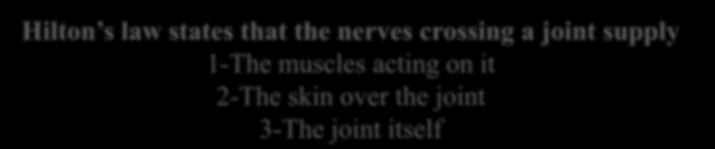 Hilton s law states that the nerves crossing a joint supply 1-The muscles acting on it 2-The skin over the joint 3-The joint itself For example, The hip receives fibres from the femoral, sciatic and