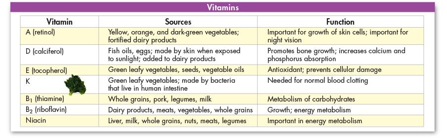 14 Essential Vitamins Minerals Inorganic