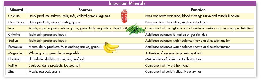 small amounts, are called minerals.