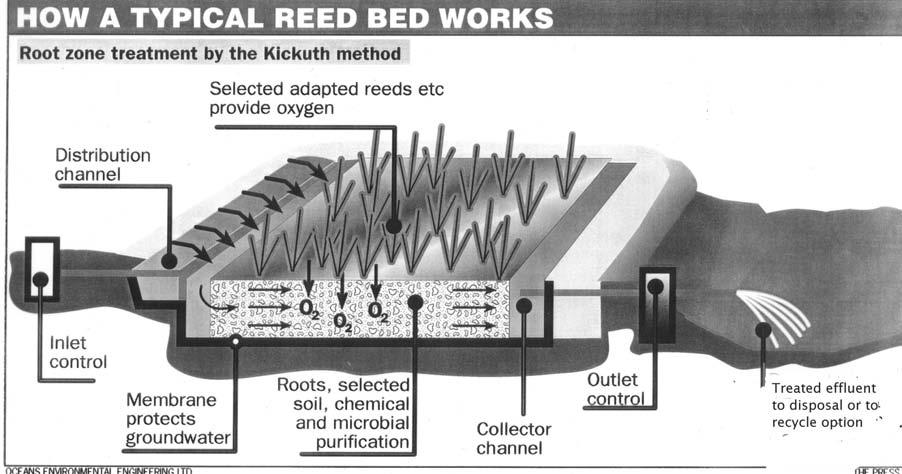 Soil Based Reed Beds (SBRB) The SBRB system has three simple components:
