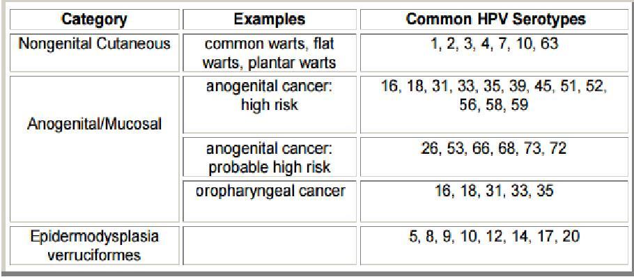 Common HPV serotypes Figure 7a. Recurrent Aphthous Ulcers Summary Figure 7b.